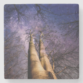 verzauberter Wald Steinuntersetzer