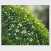 Verzauberter Waldmoos Frühling Geschenkpapier (Flach)