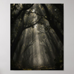 Verzauberter Waldpfad: Ätherisches Licht und Schat Poster