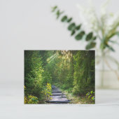 Verzauberter Waldweg 1 Postkarte (Stehend Vorderseite)