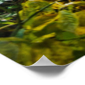 Verzauberter Waldweg Poster (Ecke)