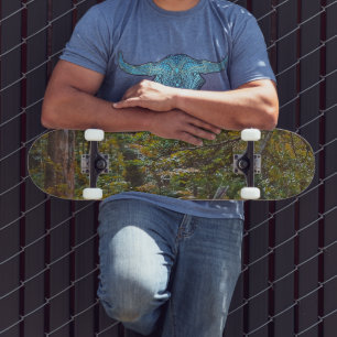 Verzauberter Waldweg Skateboard