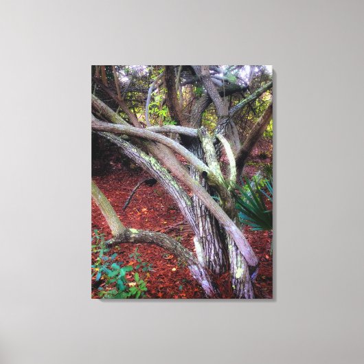 Verzaubertes Clearing Leinwanddruck (Vorderseite)