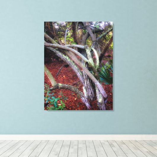 Verzaubertes Clearing Leinwanddruck (Insitu (Holzboden))