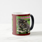 verzaubertes Kätzchen Verwandlungstasse (VorderseiteRechts)