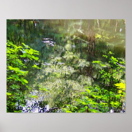 Verzaubertes Reflektionspaket Poster (Vorne)