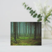 verzaubertes Waldwald 1 Postkarte (Stehend Vorderseite)