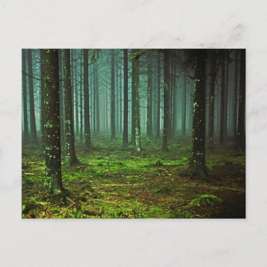 verzaubertes Waldwald 1 Postkarte (Vorderseite)