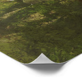 Verzauberung Poster (Ecke)