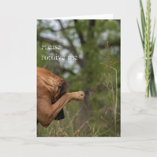 Verzeihen Sie mir bitte eine Karte (Vorderseite)