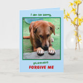 "Verzeihen Sie mir" Grußkarte bitte Karte (Gelbe Blume)