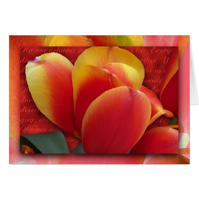 Verzeihen Sie sich (Vorderseite (Horizontal))