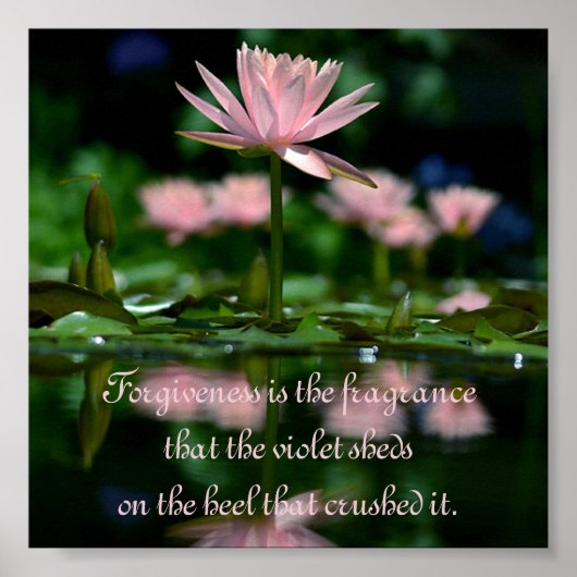 Verzeihung ist der Duft, den die Violette hinterlä Poster (Vorne)