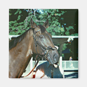 Verzichten Sie Rennpferd 1977 Magnet