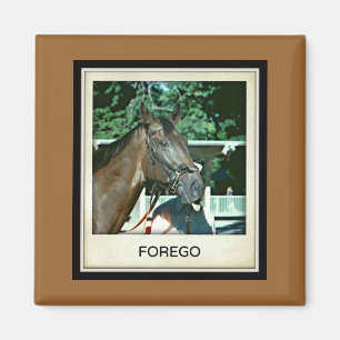 Verzichten Sie Rennpferd 1977 Magnet