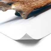 verzieren poster (Ecke)