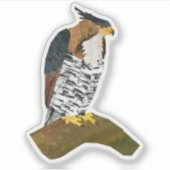 Verziert Hawk Owl Aufkleber (Vorderseite)