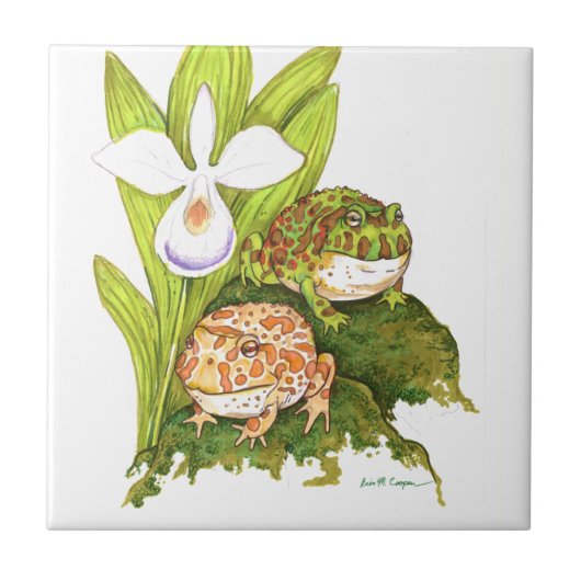Verzierte Hornfrosche Fliese (Vorderseite)