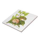 Verzierte Hornfrosche Fliese (Seite)