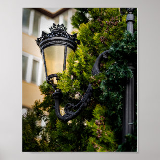 Verzierte schwarze Straßenlaterne aus Gusseisen Poster