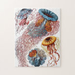 Verzierte Vintage Quallen Puzzle<br><div class="desc">Schönes Puzzlespiel mit Vintager Illustration durch Ernst Haeckel der verschiedenen Quallenart.</div>