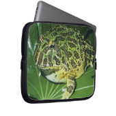 Verzierter Hornfrosch (Ceratophrys ornata), Laptopschutzhülle (Vorne Rechts)