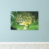 Verzierter Hornfrosch (Ceratophrys ornata), Leinwanddruck (Insitu (Holzboden))