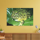 Verzierter Hornfrosch (Ceratophrys ornata), Leinwanddruck (Insitu (Wohnzimmer))