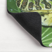 Verzierter Hornfrosch (Ceratophrys ornata), Mousepad (Ecke)