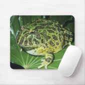 Verzierter Hornfrosch (Ceratophrys ornata), Mousepad (Mit Mouse)