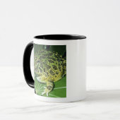Verzierter Hornfrosch (Ceratophrys ornata), Tasse (Vorderseite Links)