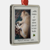 Verzierung 2010 des Taffys Weihnachts Silbernes Ornament (Rechts)