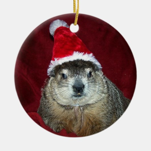 Verzierung 2 Claras Groundhog Keramikornament (Vorne)