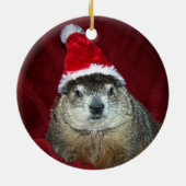 Verzierung 2 Claras Groundhog Keramikornament (Hinten)