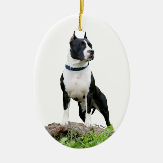 Verzierung amerikanischen Staffordshires Terrier Keramik Ornament (Vorne)
