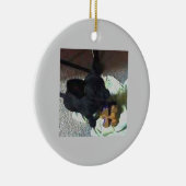 VERZIERUNG DES BABY-POKEMON KERAMIKORNAMENT (Rechts)