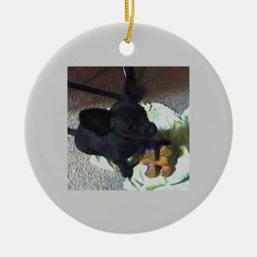 VERZIERUNG DES BABY-POKEMON KERAMIKORNAMENT (Vorne)