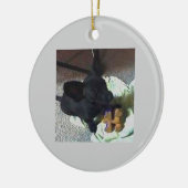 VERZIERUNG DES BABY-POKEMON KERAMIKORNAMENT (Links)