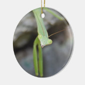 Verzierung des betenden Mantis Keramikornament (Links)