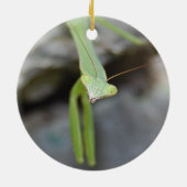 Verzierung des betenden Mantis Keramikornament (Hinten)