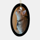 Verzierung des Jaspis-Kätzchen-Foto-gerahmte Keramikornament (Rechts)