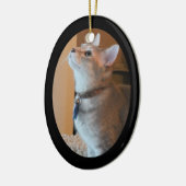 Verzierung des Jaspis-Kätzchen-Foto-gerahmte Keramikornament (Links)