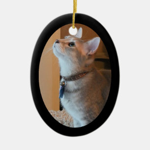 Verzierung des Jaspis-Kätzchen-Foto-gerahmte Keramikornament