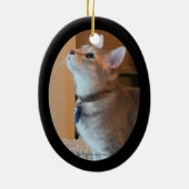 Verzierung des Jaspis-Kätzchen-Foto-gerahmte Keramikornament (Hinten)