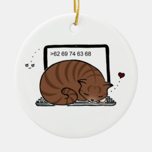 Verzierung des Laptop-Katzen-Bett-(BrownTabby) Keramik Ornament