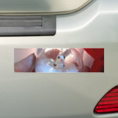 Verzierung II Autoaufkleber (Auf Auto)