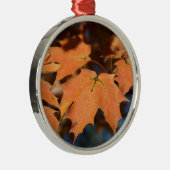 Verzierung im Herbst Silbernes Ornament (Rechts)