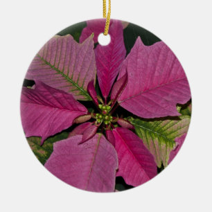 Verzierung Keramik Ornament