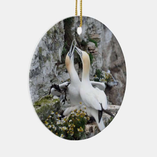 Verzierung: Liebendes Gannets Keramik Ornament (Rechts)