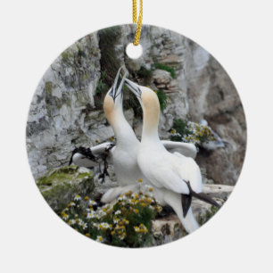 Verzierung: Liebendes Gannets Keramik Ornament